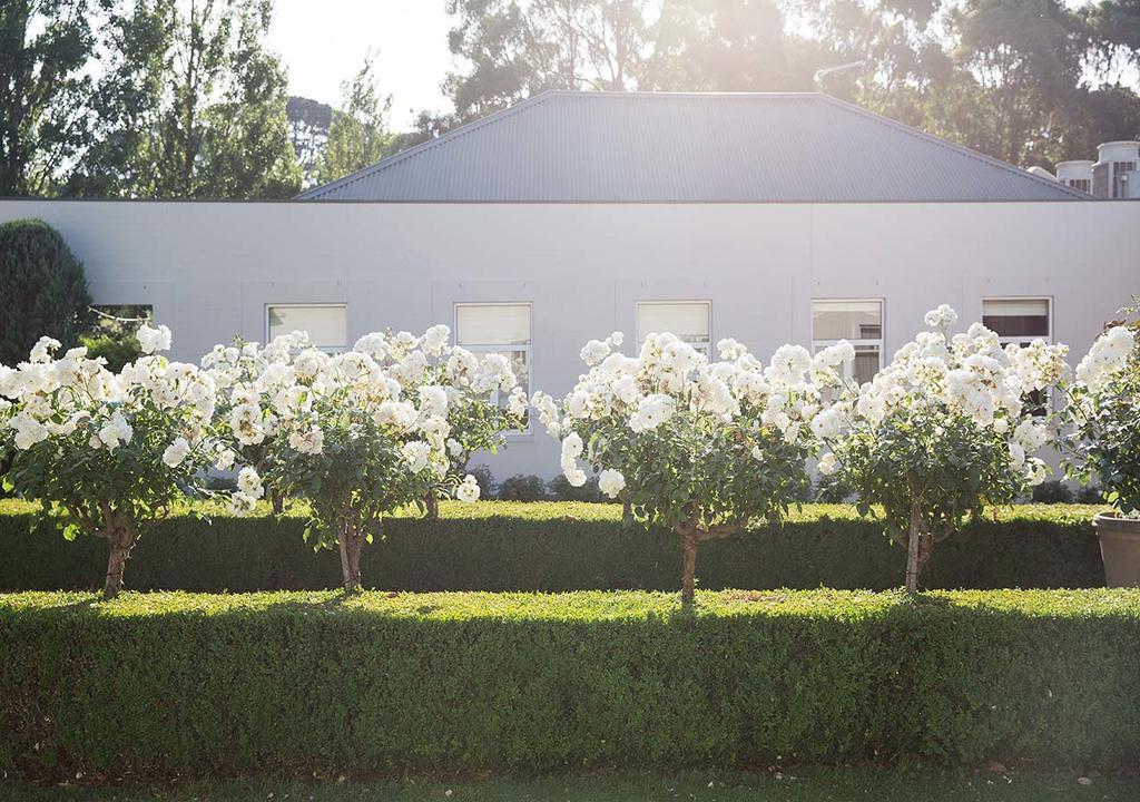 Lancemore Lindenderry Red Hill Exterior photo